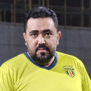 محمود ناجي